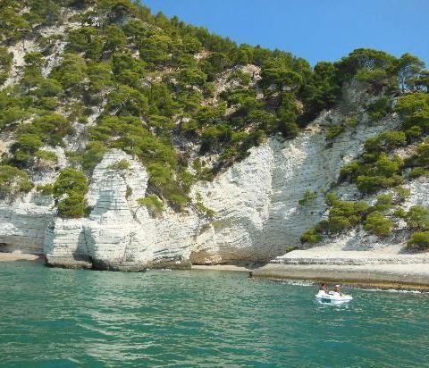 visitare grotte marina Vieste in bacrca